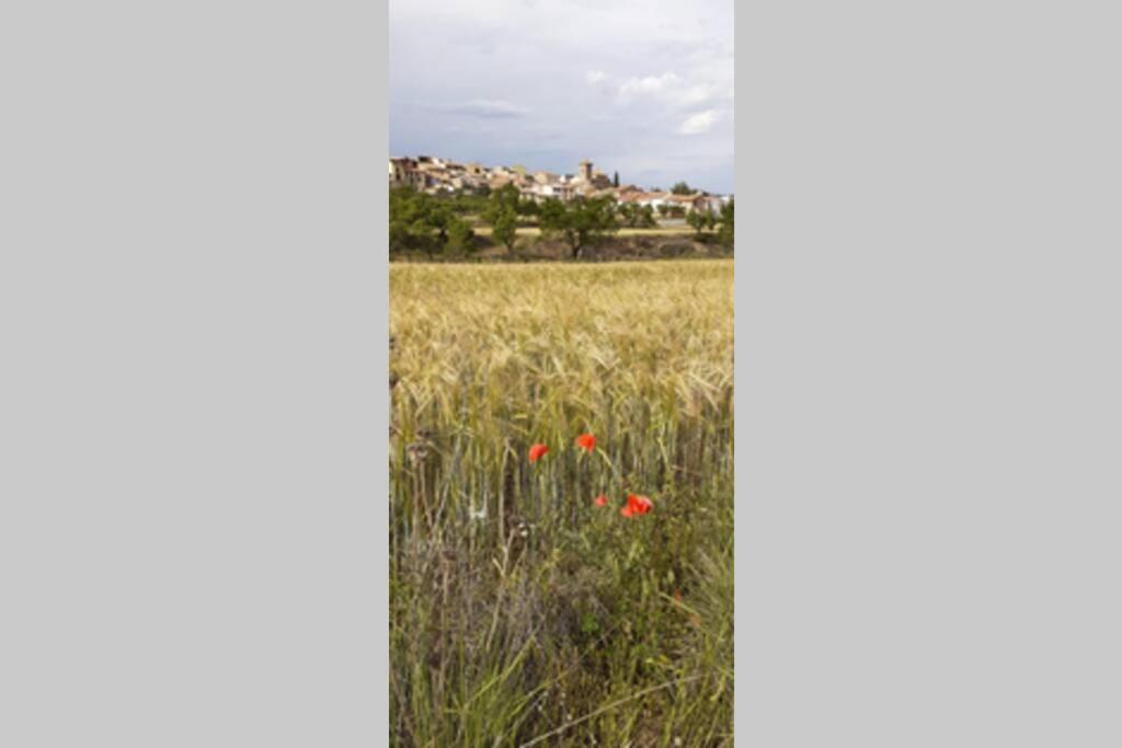 Ca Joan A Villores, Els Ports Luaran gambar