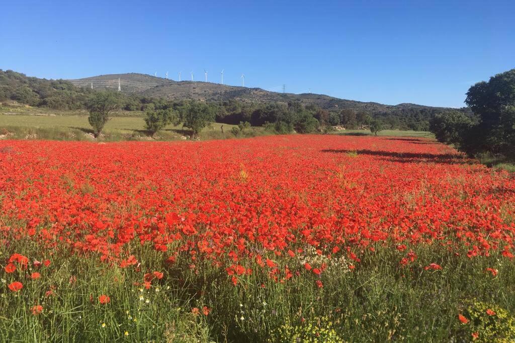Ca Joan A Villores, Els Ports Luaran gambar